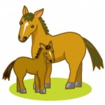 馬の親子のイラスト